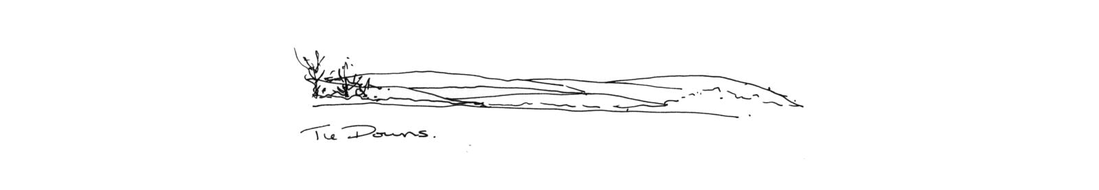 Concept sketch blending house into landscape