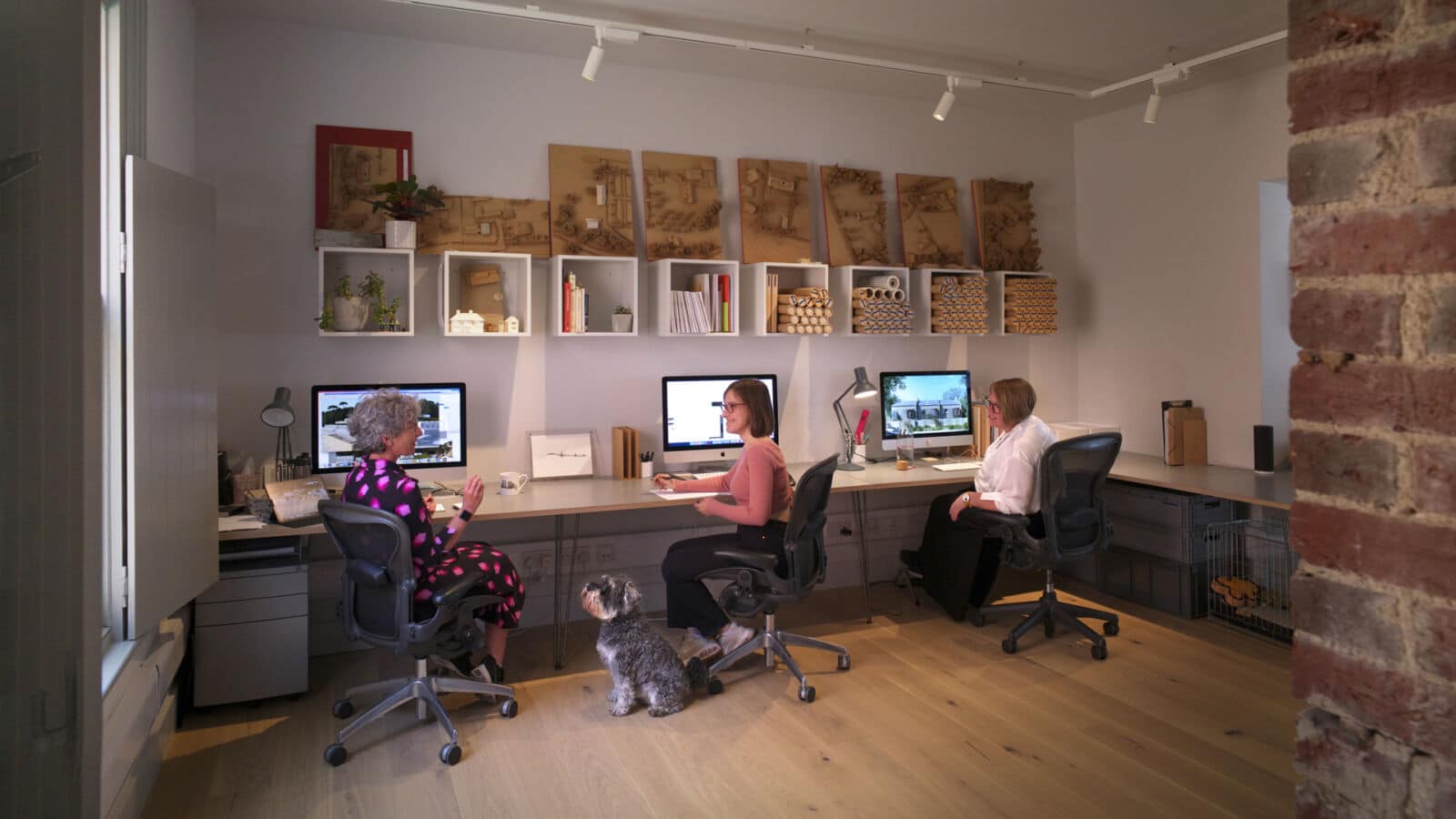 Interior view of office and team