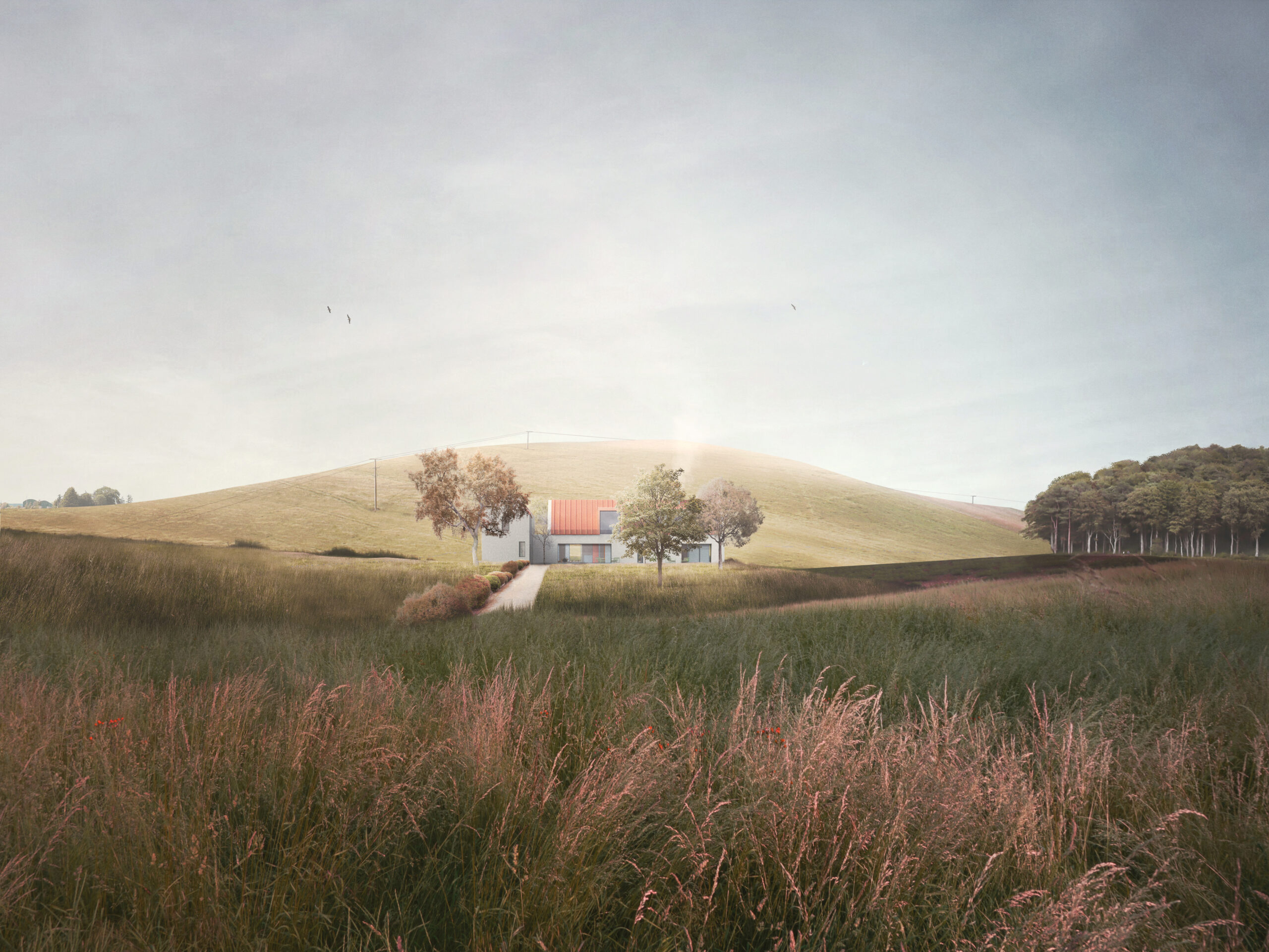Contemporary Irish home in the AONB rural countryside
